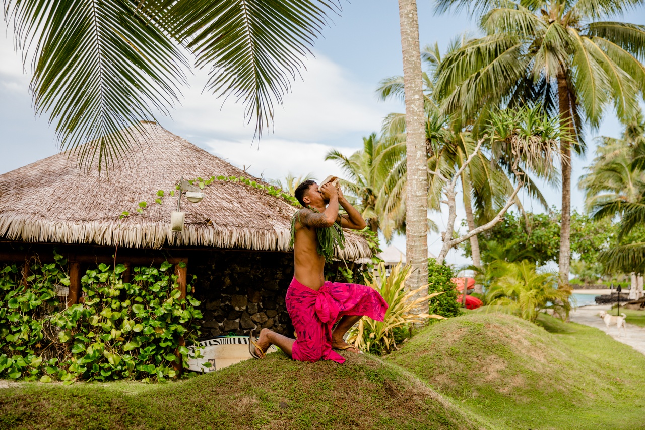 Be called by the sound of the conch in Samoa Samoan man blowing a conch shell beneath palm trees